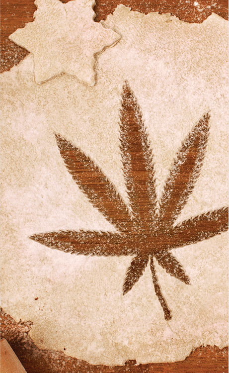 Marijuana plant outline